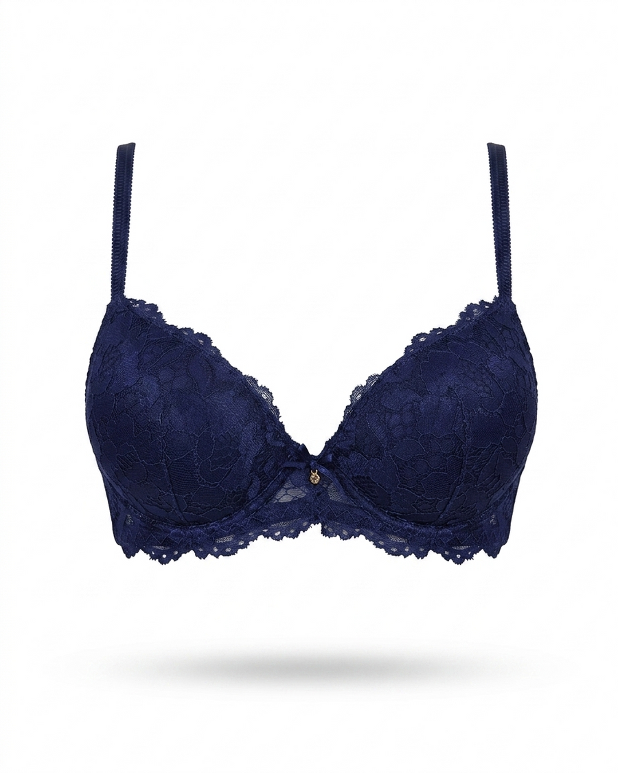Fancy Lace Net Bra