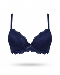 Fancy Lace Net Bra
