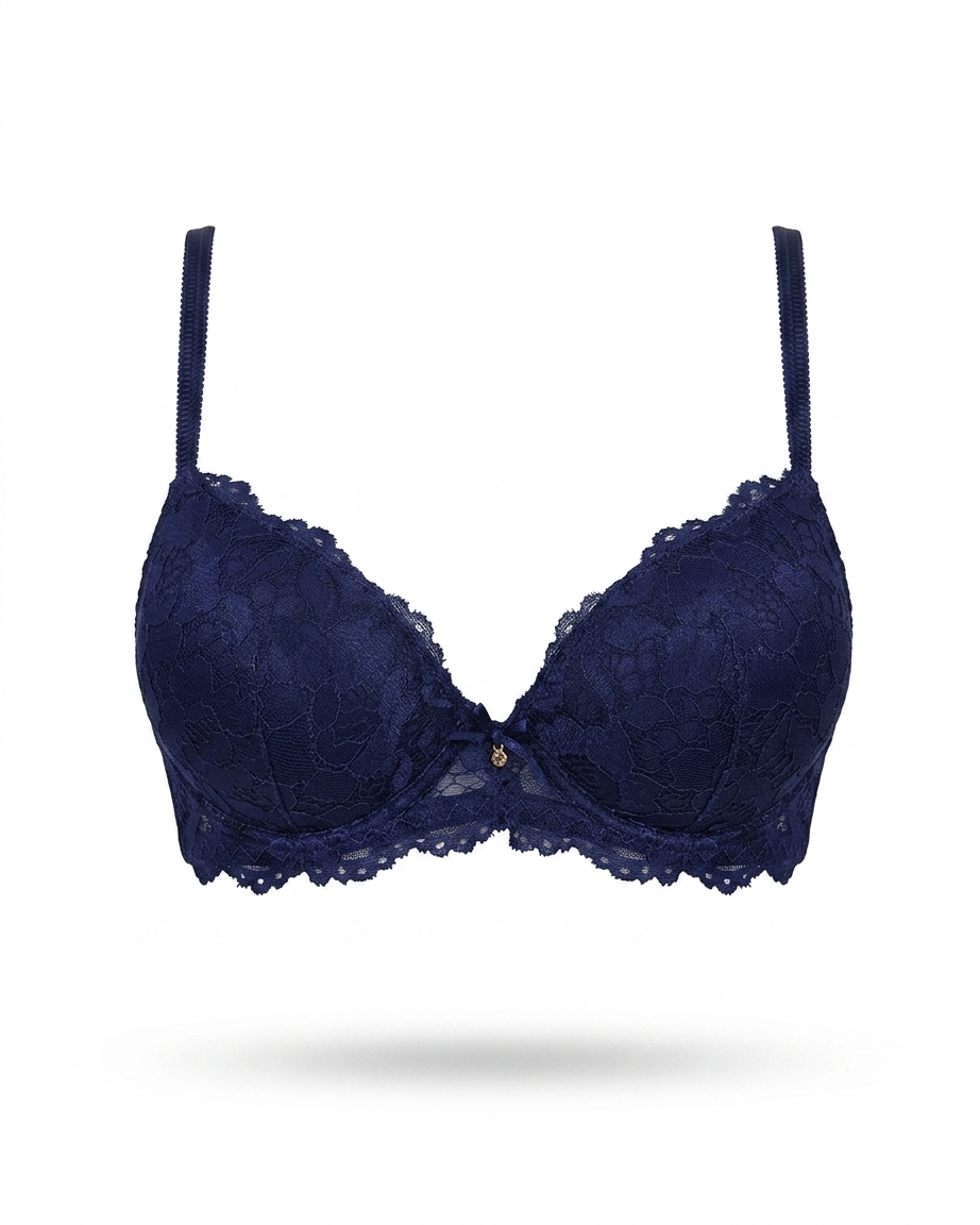 Fancy Lace Net Bra