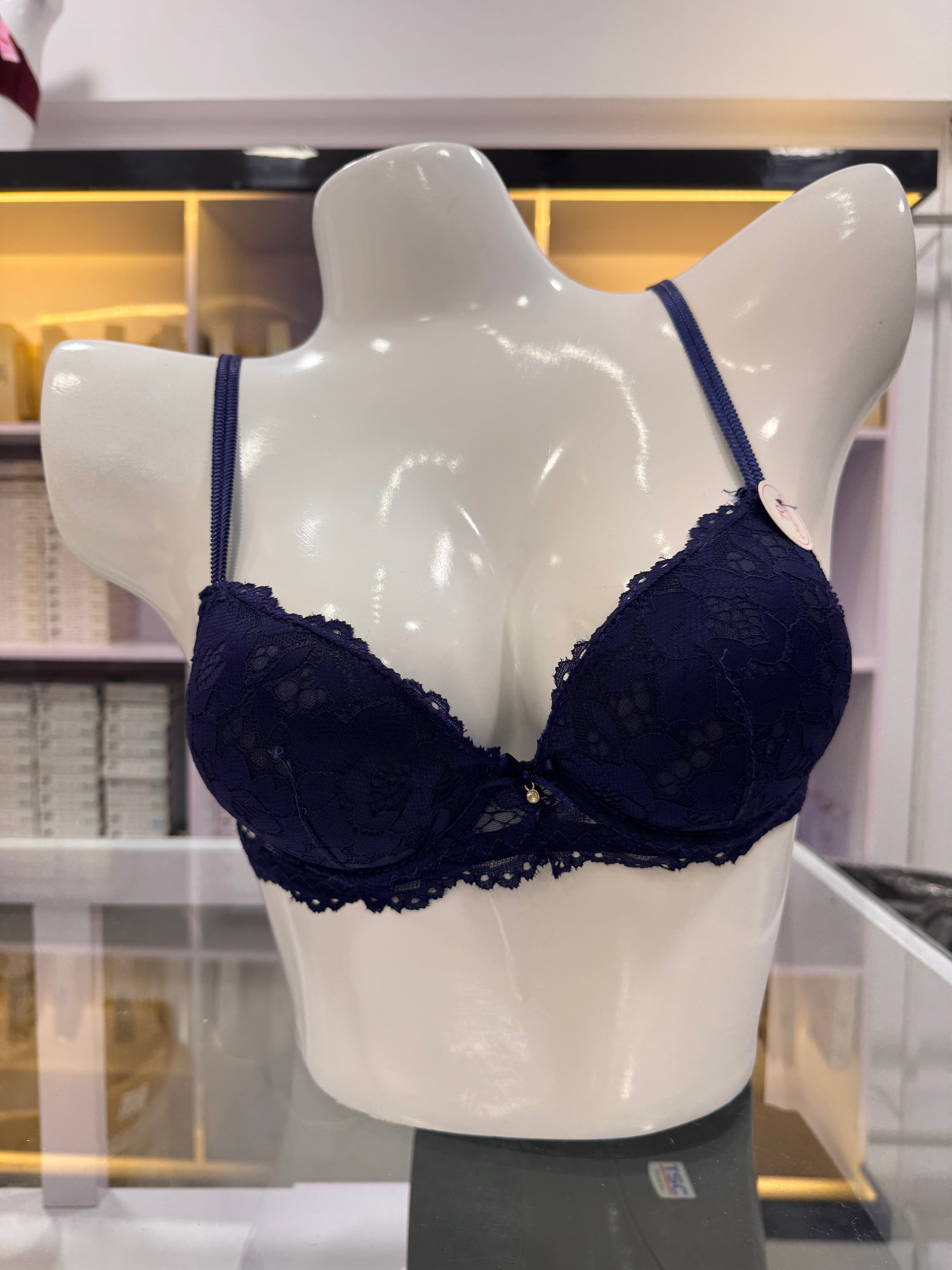 Fancy Lace Net Bra