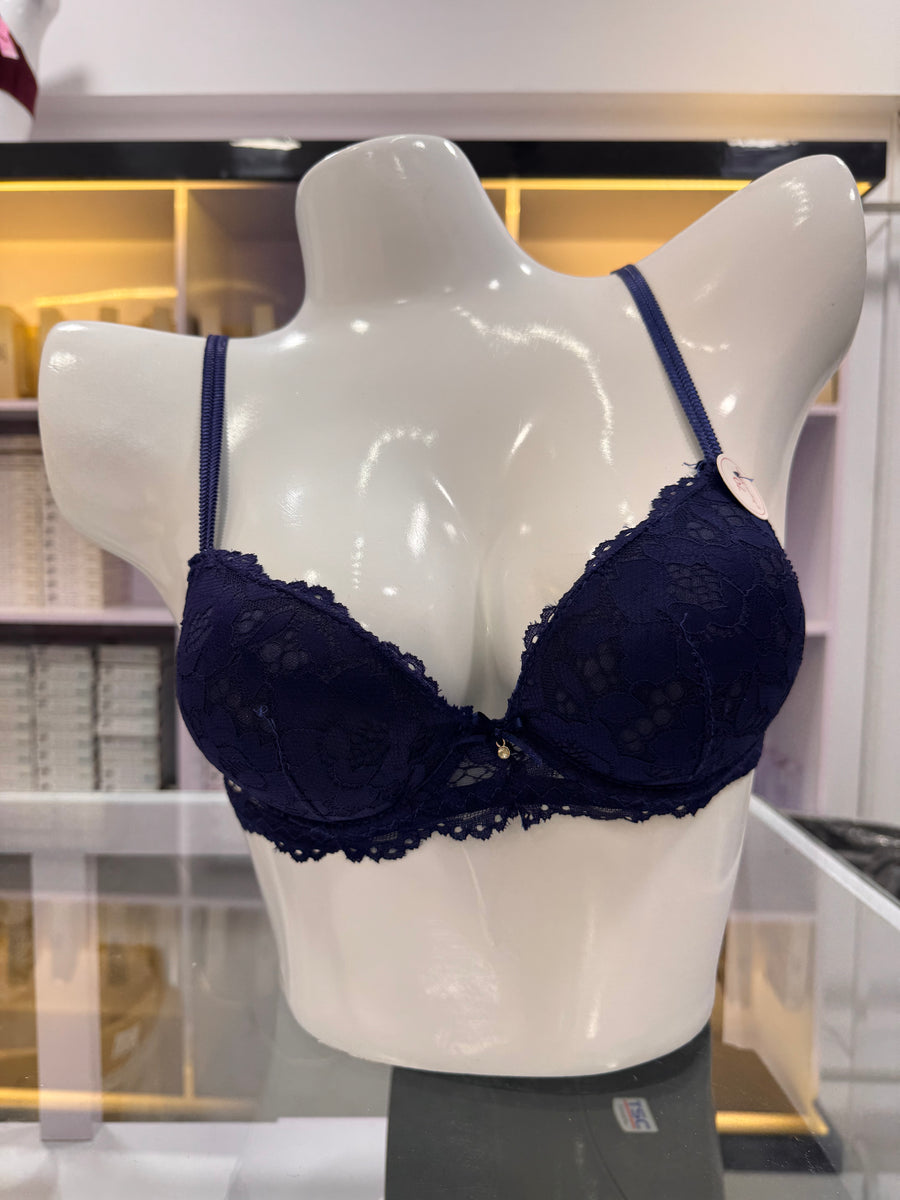 Fancy Lace Net Bra