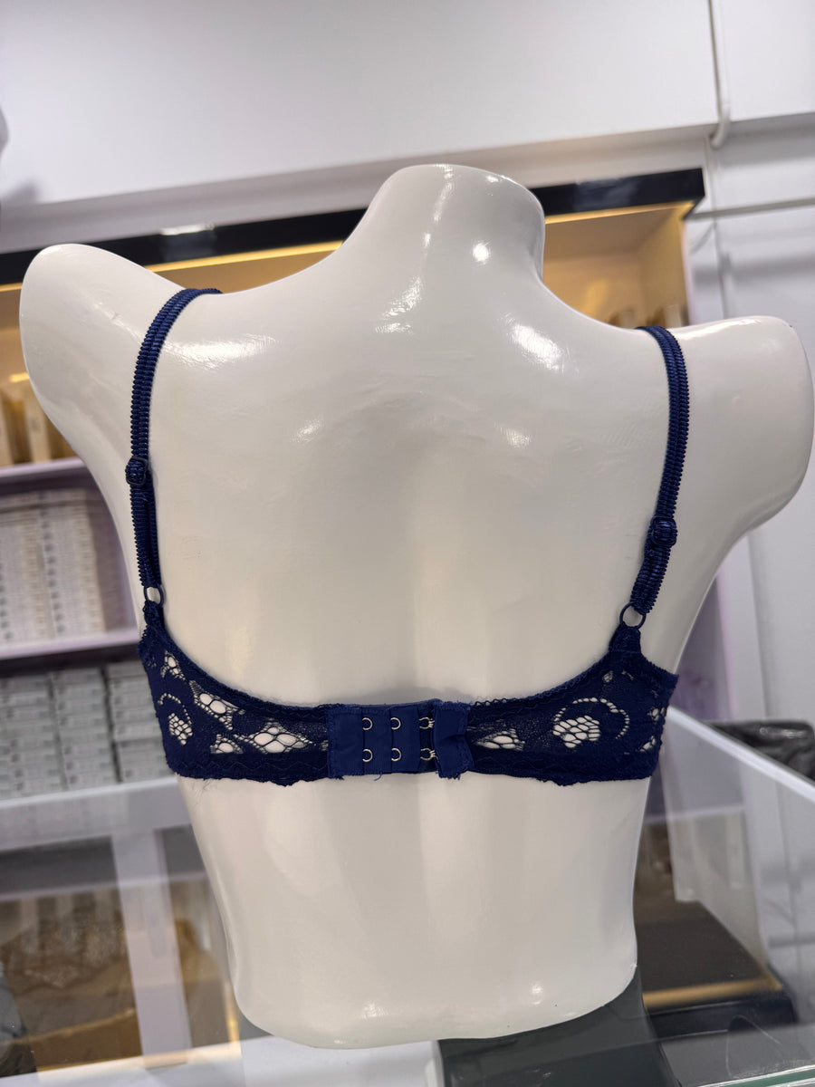 Fancy Lace Net Bra