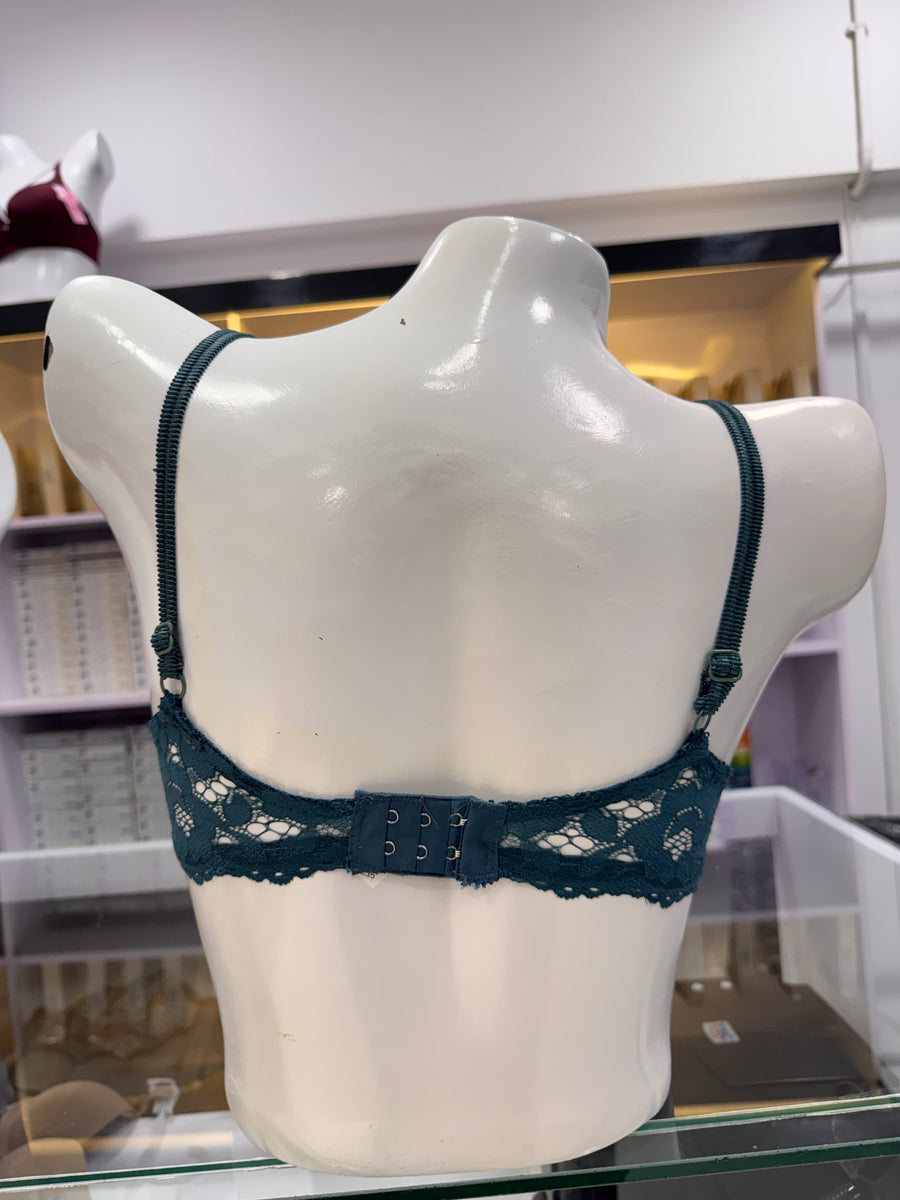 Fancy Lace Net Bra