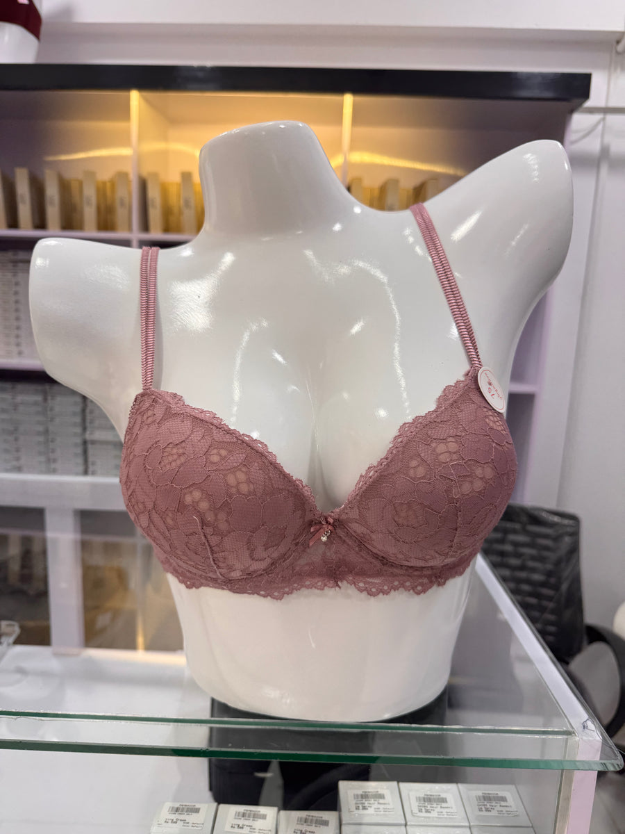 Fancy Lace Net Bra